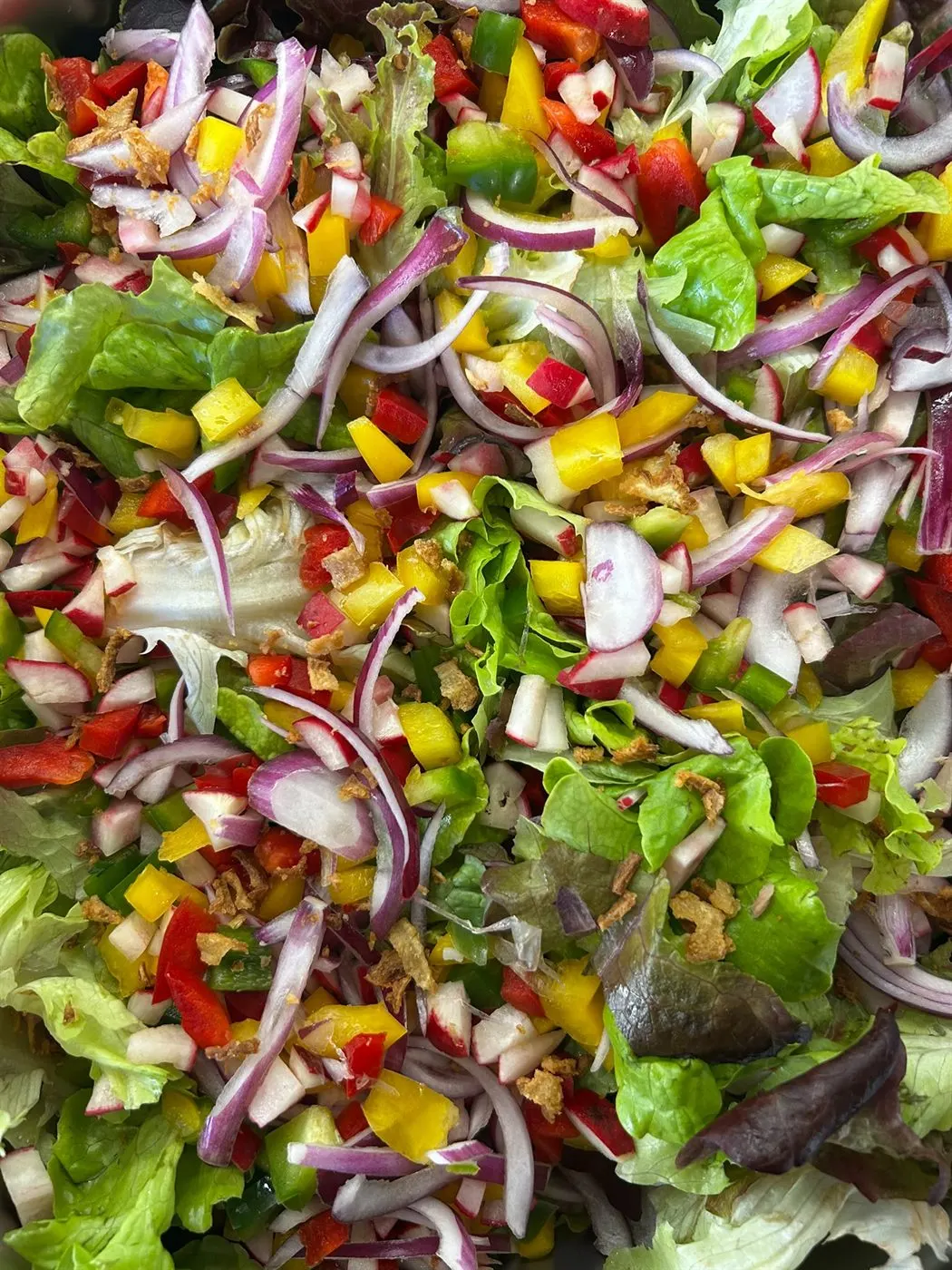 Salade fraîche du jour, légumes croquants, entrée faite maison Aumont-Aubrac